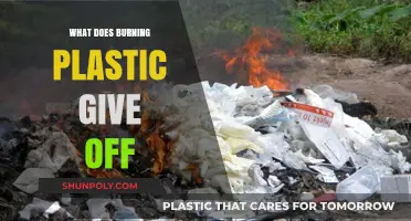 Toxic Fumes: Burning Plastic Releases Harmful Chemicals