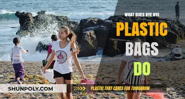 Bye Bye Plastic Bags: Mission, Impact, and Global Movement Explained
