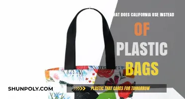 California's Eco-Friendly Shift: Alternatives to Plastic Bags Explained