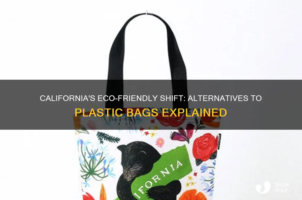 what does california use instead of plastic bags