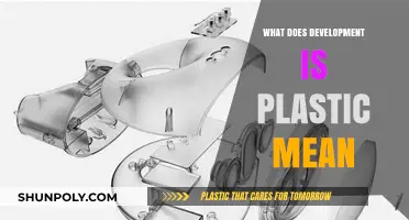 The Ever-Changing Nature of Plastic's Development