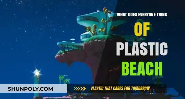 Plastic Beach: What's the Public Verdict?