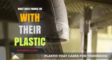 France's Plastic: A Sustainable Future?