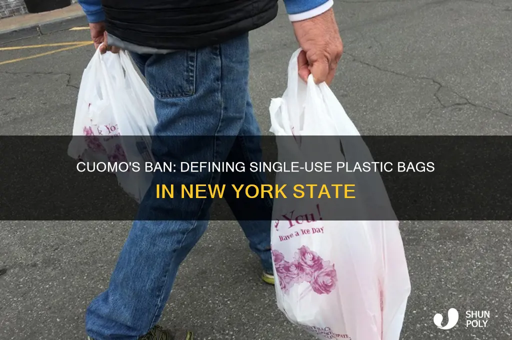 what does gov coumo consider single use plastic bag