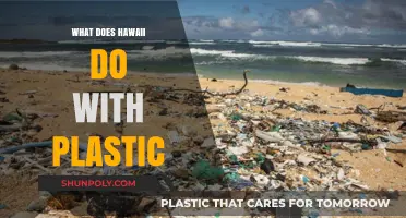 Hawaii's Plastic Revolution: Turning Trash into Treasure