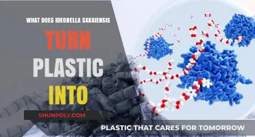 How Ideonella Sakaiensis Transforms Plastic into Useful Material