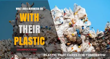 Indonesia's Plastic Waste: A Creative Approach to Recycling