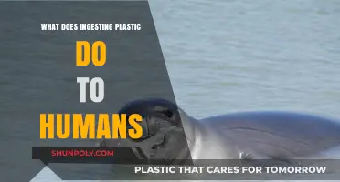 Plastic Ingestion: Understanding the Health Risks for Humans