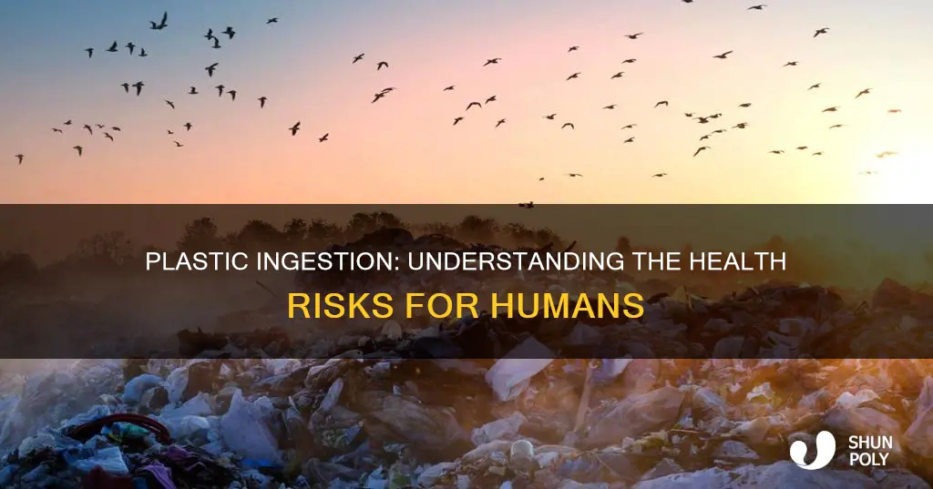 what does ingesting plastic do to humans