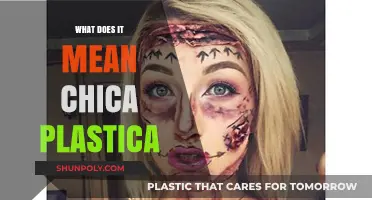 Understanding Chica Plastica: Its Meaning and Origins