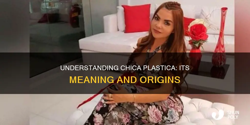 what does it mean chica plastica