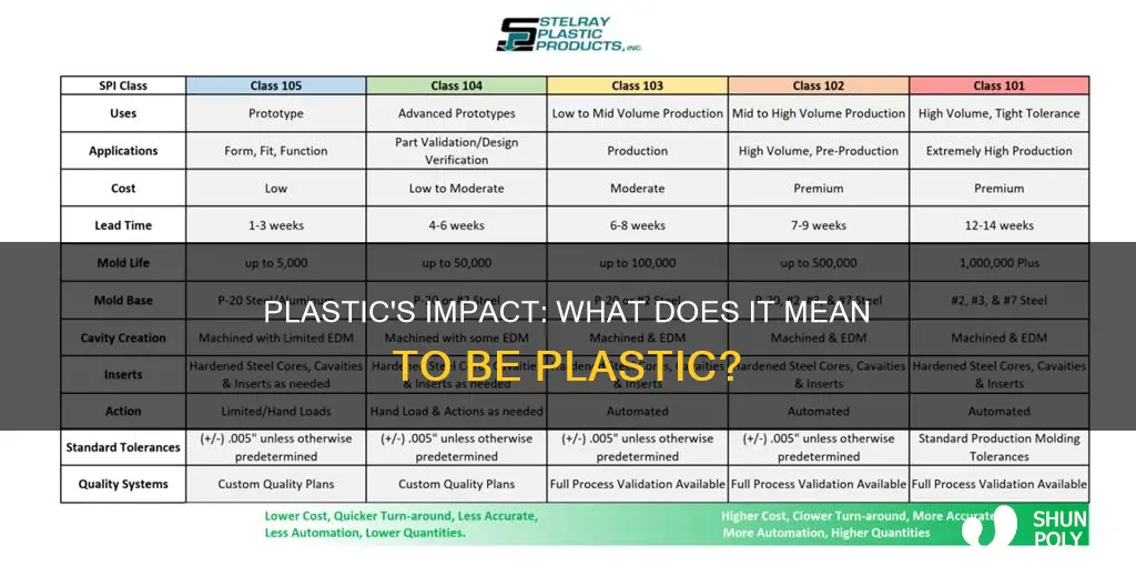 what does it mean to be plastic