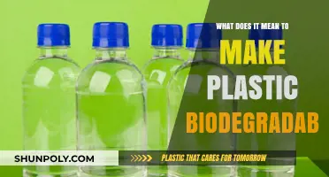 Understanding Biodegradable Plastics: Definition, Process, and Environmental Impact
