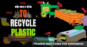 The Green Revolution: Understanding Plastic Recycling