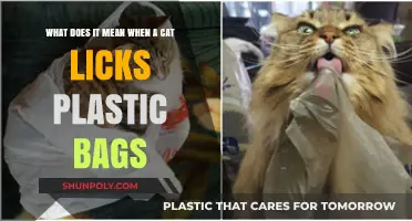 Why Do Cats Lick Plastic Bags? Uncovering the Curious Behavior