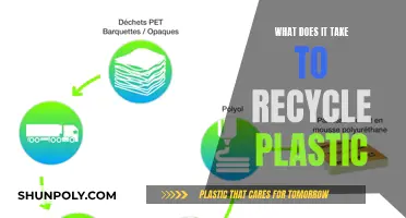 The Complex Journey of Plastic Recycling