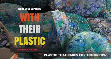 Japan's Plastic Problem: Innovative Solutions and Unique Approaches