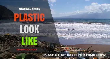 The Many Faces of Marine Plastic