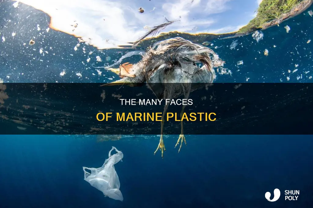 what does marine plastic look like