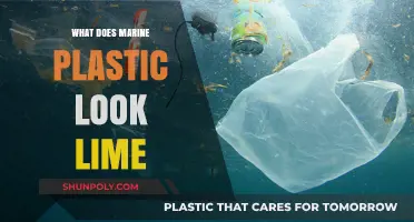 Plastic's Impact: Marine Life and Oceans