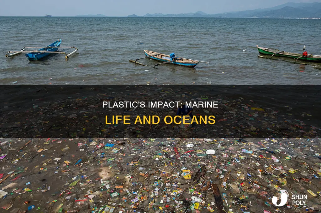 what does marine plastic look lime