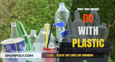 Mexico's Plastic Revolution: Turning Trash to Treasure