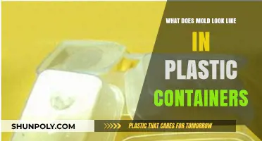 Mold in Plastic Containers: Identifying and Preventing Growth