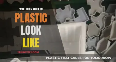 Mold on Plastic: Identification and Appearance