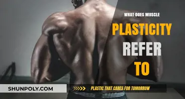 Muscle Plasticity: The Key to Unlocking Strength and Adaptability