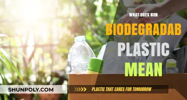 The Dark Side of Plastics: Non-Biodegradable Pollution