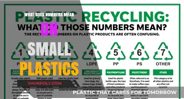 Decoding Plastics: Numbers, Meaning and Impact