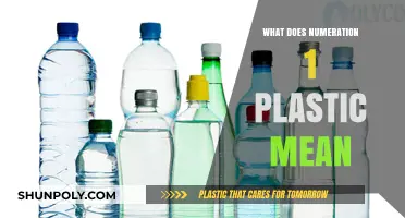 Understanding Plastic Numeration: The Number 1 Mystery