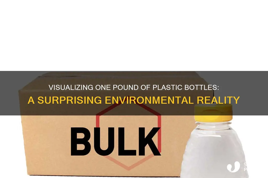 what does one pound of plastic bottles look like