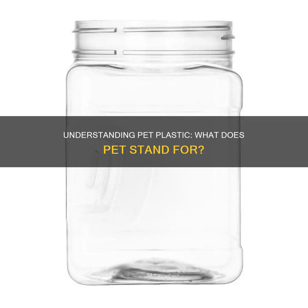 what does p e t in plastic containers stand for