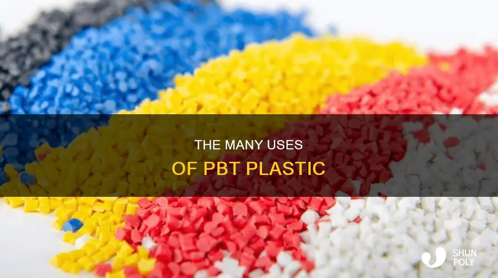 what does pbt plastic stand for