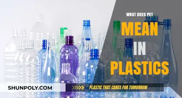 Plastics PET: What Does It Mean and Why It Matters