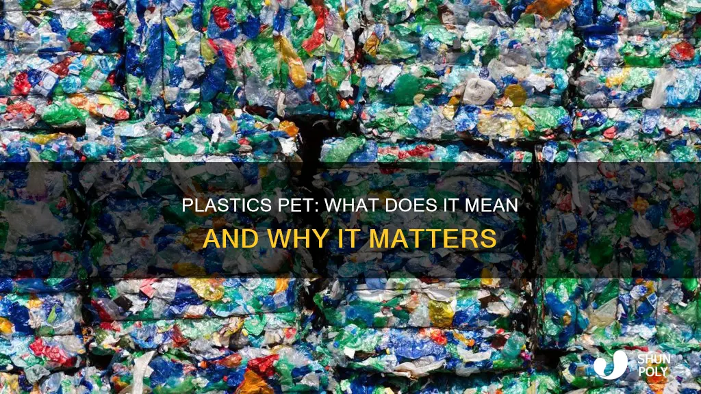 what does pet mean in plastics
