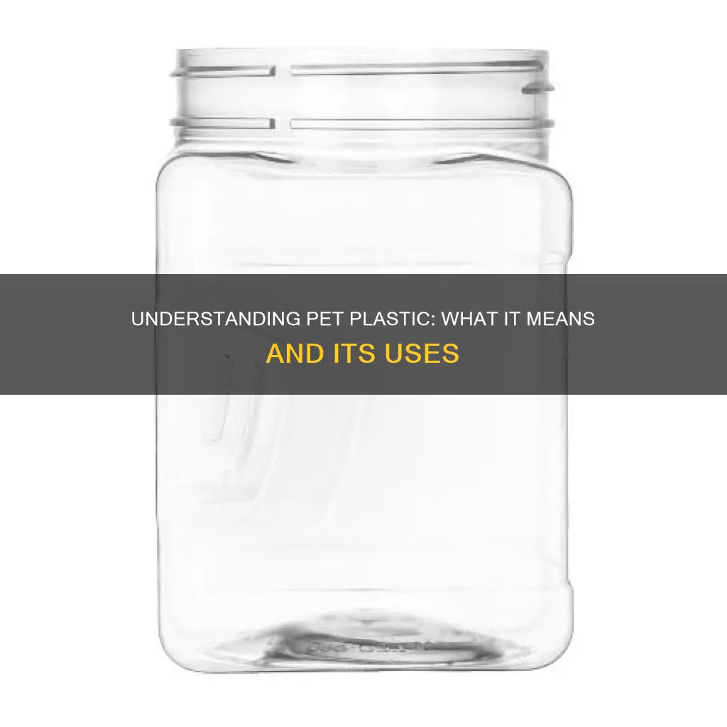 what does pet mean on plastic container