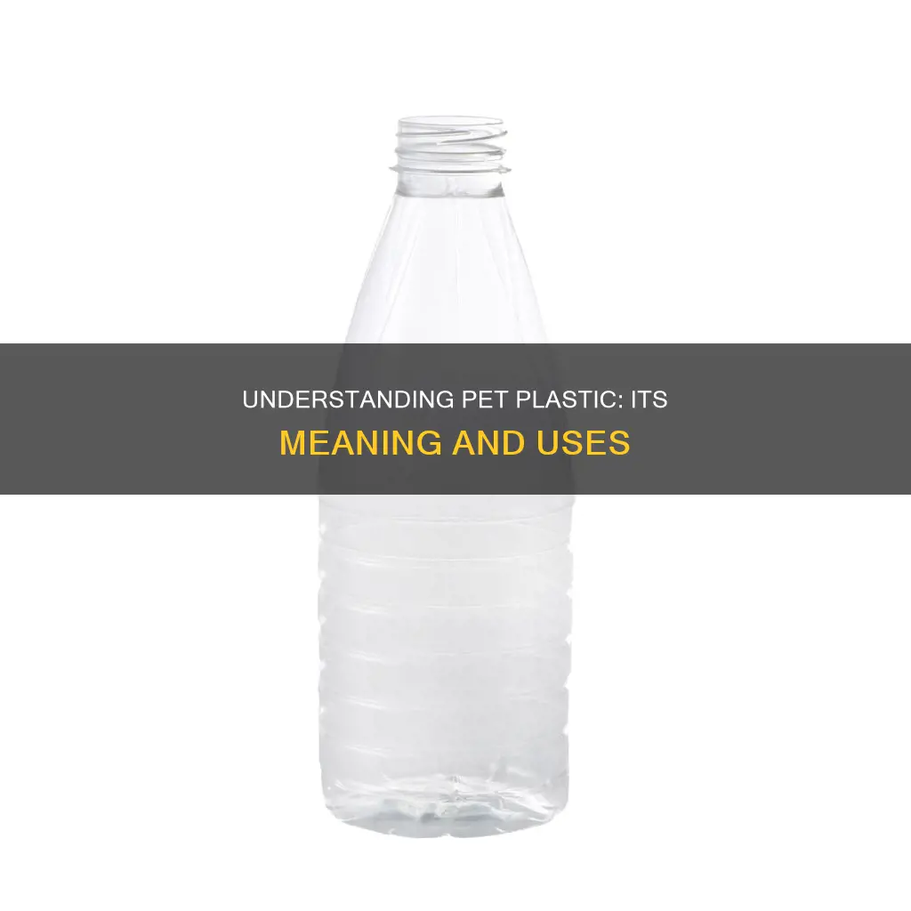 what does pet mean on plastic
