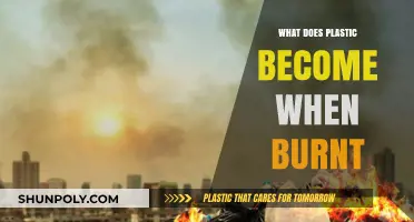 The Dark Side of Burning Plastics