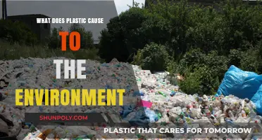 Plastic's Impact: Environmental Damage and Our Future