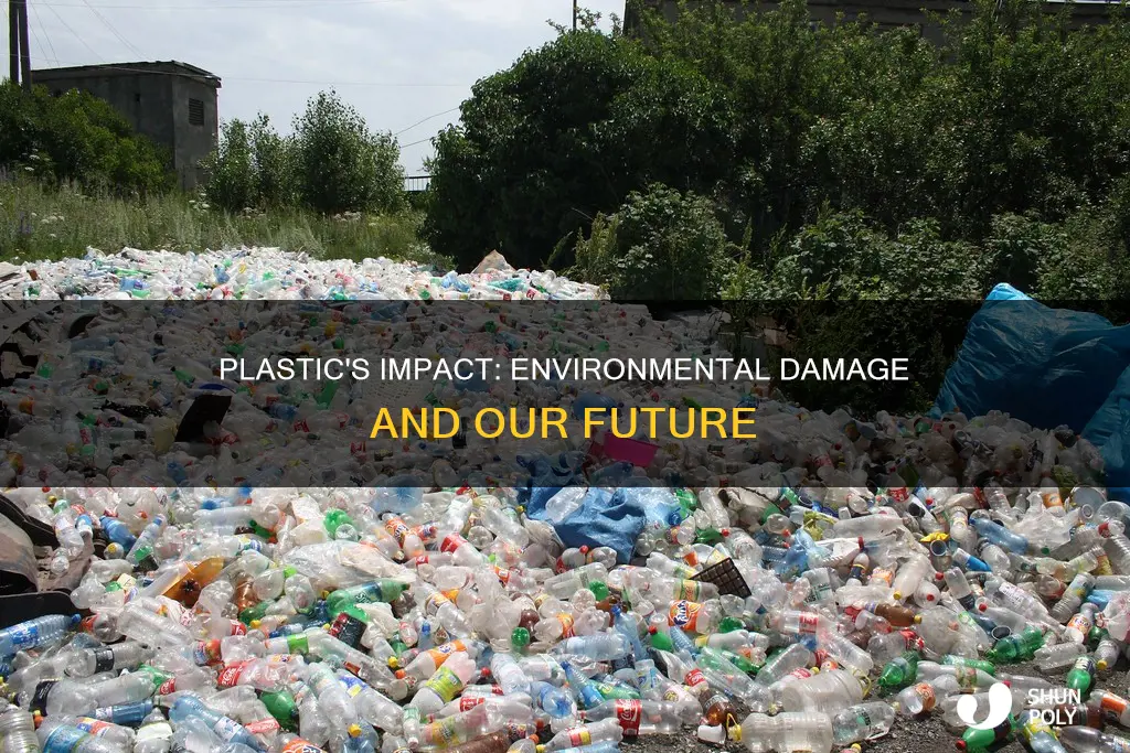 what does plastic cause to the environment