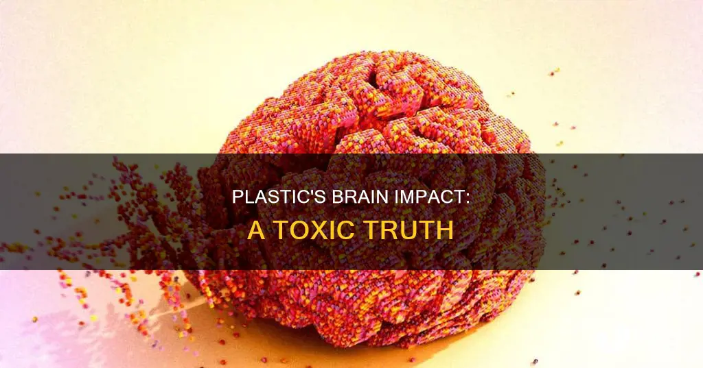 what does plastic couse in the brain