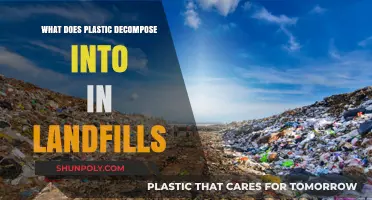 Plastic Decomposition: The Dark Side of Landfills
