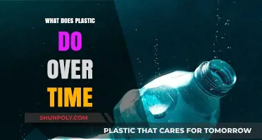Plastic's Long-Term Impact: An Eco-Disaster