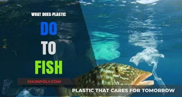 Plastic's Impact: Fish in Danger
