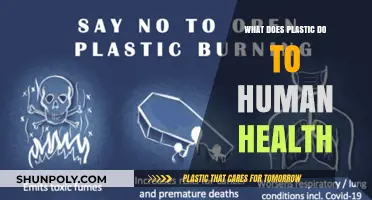 Plastic's Impact: Human Health at Risk