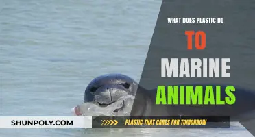 Plastic's Impact: Marine Animals' Plight