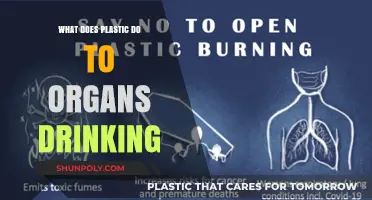 Plastic's Harmful Effects on Our Organs and Health