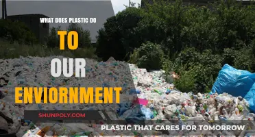 Plastic's Impact: Devastating Our Environment and Health